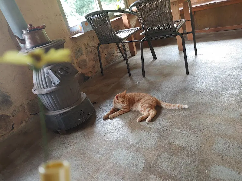 카페 내부의 모습, 테이블 옆 난로 앞에 고양이가 엎드려 있다.