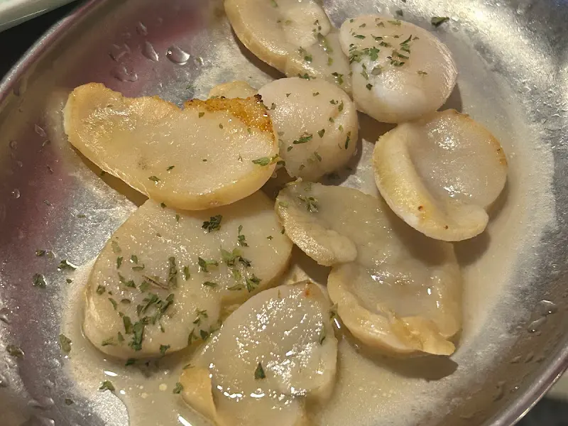 키조개 관자의 자태