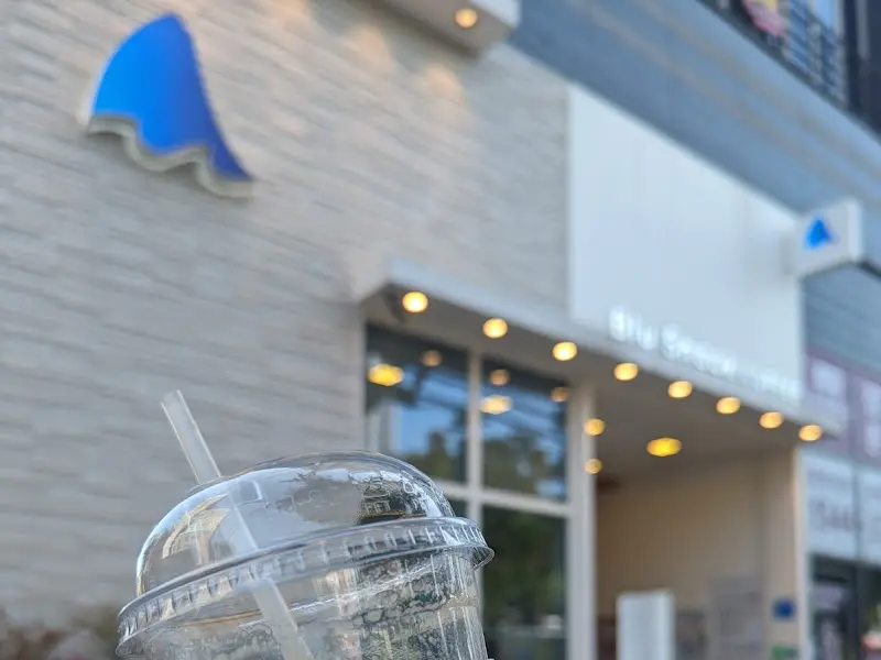 블루샥 외부 모습