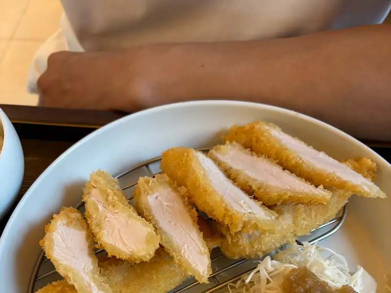 황금빛 튀김옷을 입은 촉촉한 안심카츠