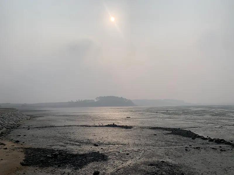 해변의 갯벌 풍경