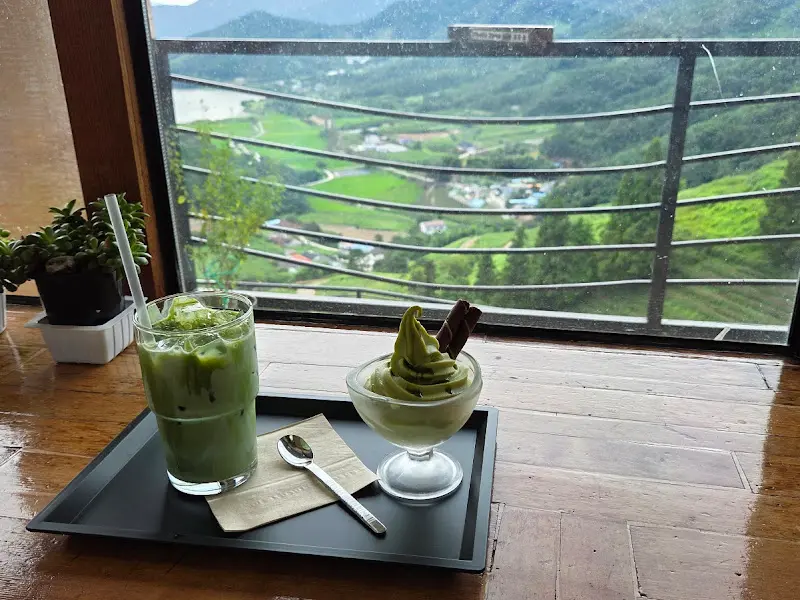 창밖으로 보이는 녹차밭 풍경