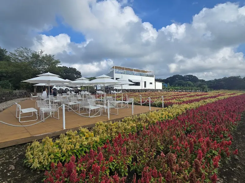 비케이브의 건물과 파라솔 테이블