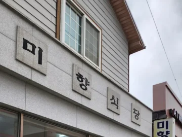 강진 미향식당: 6천 원의 행복, 잊을 수 없는 백반 맛집 기행