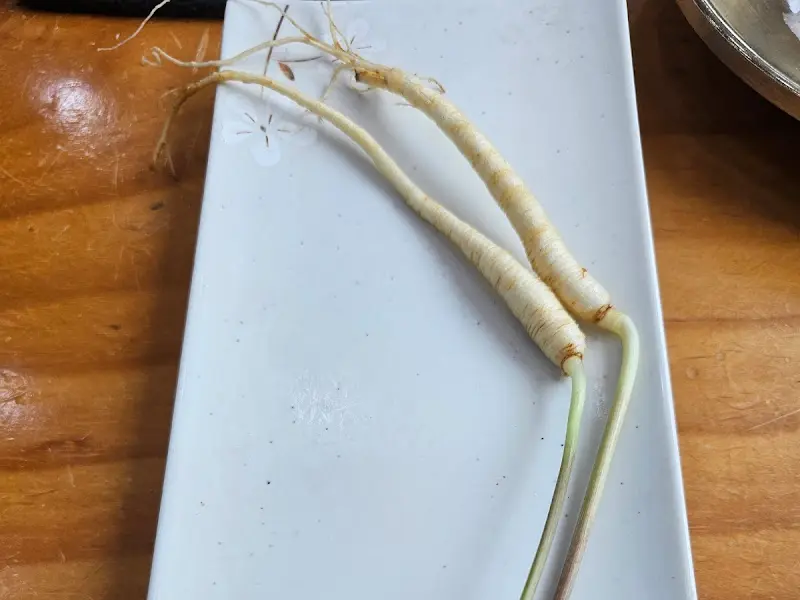 추오정남원추어탕 곁들임 메뉴 인삼