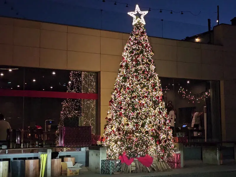 아름다운 트리 장식으로 꾸며진 레스토랑 외관