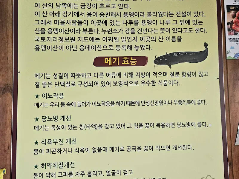 메기 효능 안내