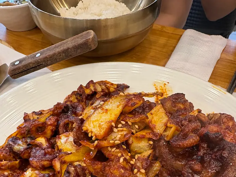 쭈꾸미 클로즈업