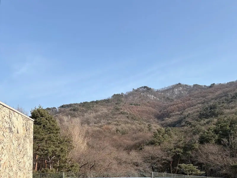 카페에서 보이는 풍경