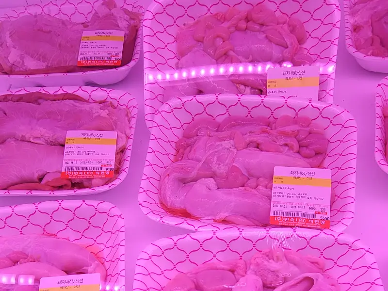 다양한 부속 부위들