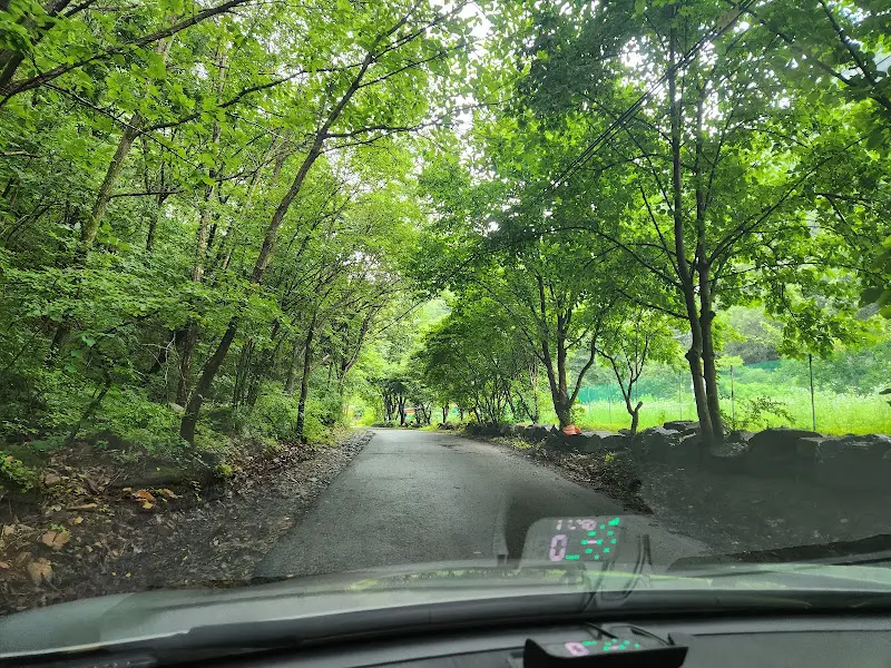 폭포가든으로 향하는 길