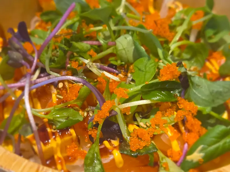 회초덮밥의 클로즈업 샷