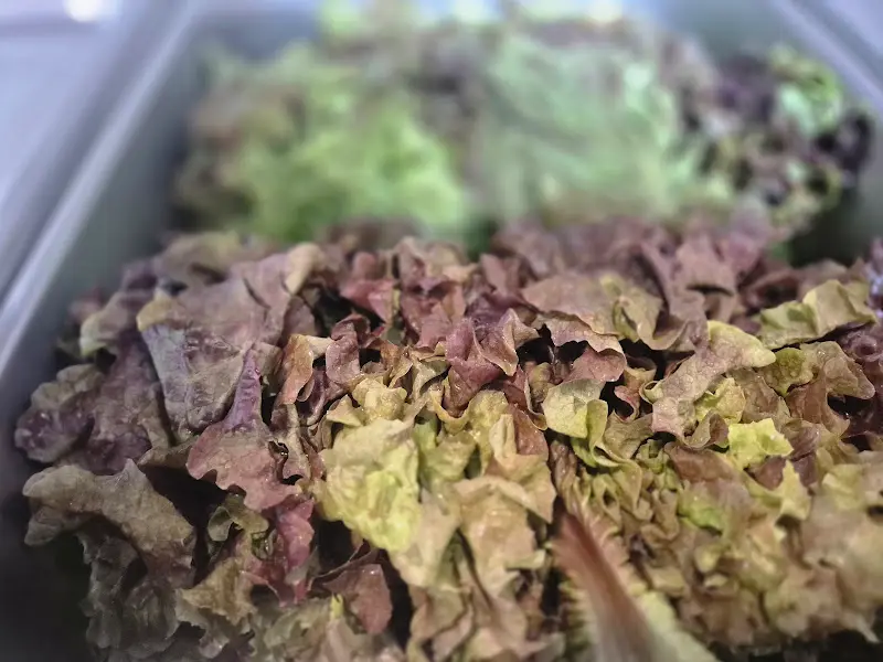 신선한 쌈 채소