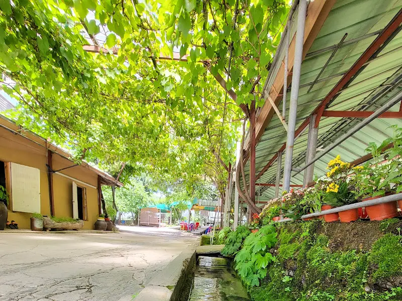 식당 주변 풍경