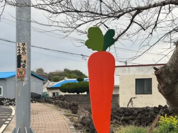 혼밥러의 제주 평대리 당근밭 맛집 탐험기: ‘당근과 깻잎’에서 찾은 뜻밖의 위로