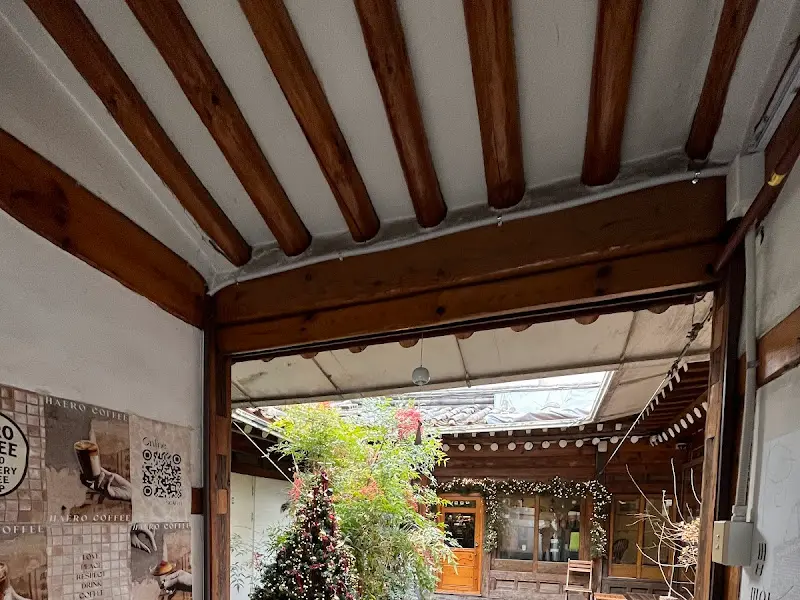 카페 내부에서 마당을 바라보는 모습