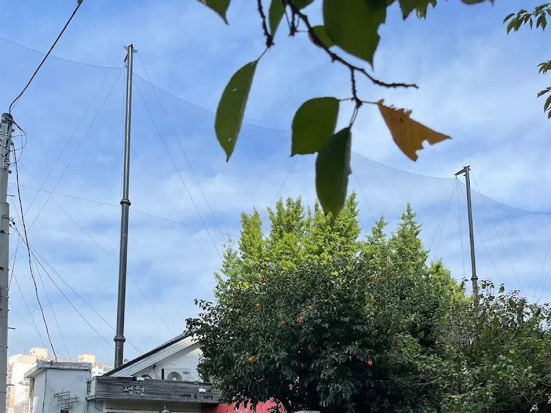 정원 주변 풍경