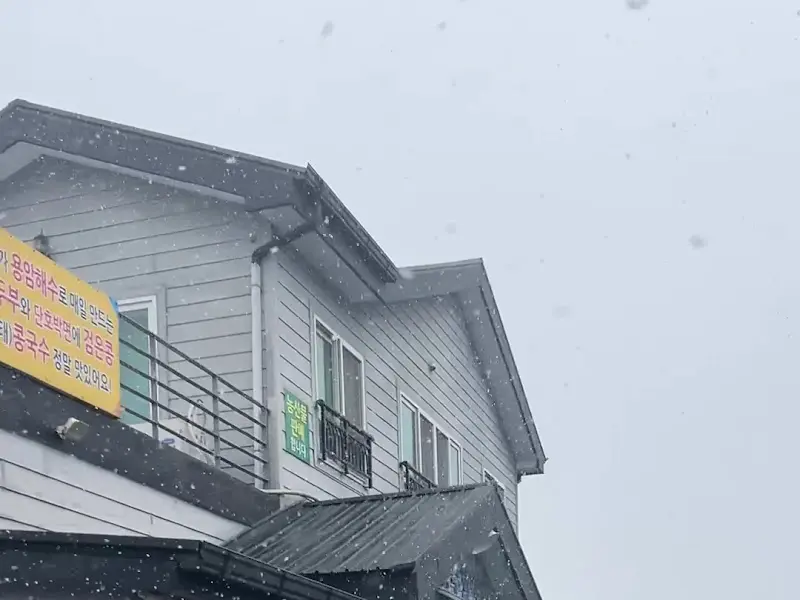 눈 내리는 뚱주할머니