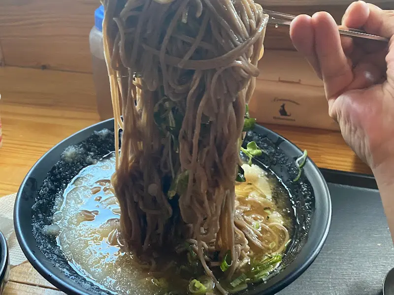 계절향기 메밀소바 냉모밀 면발