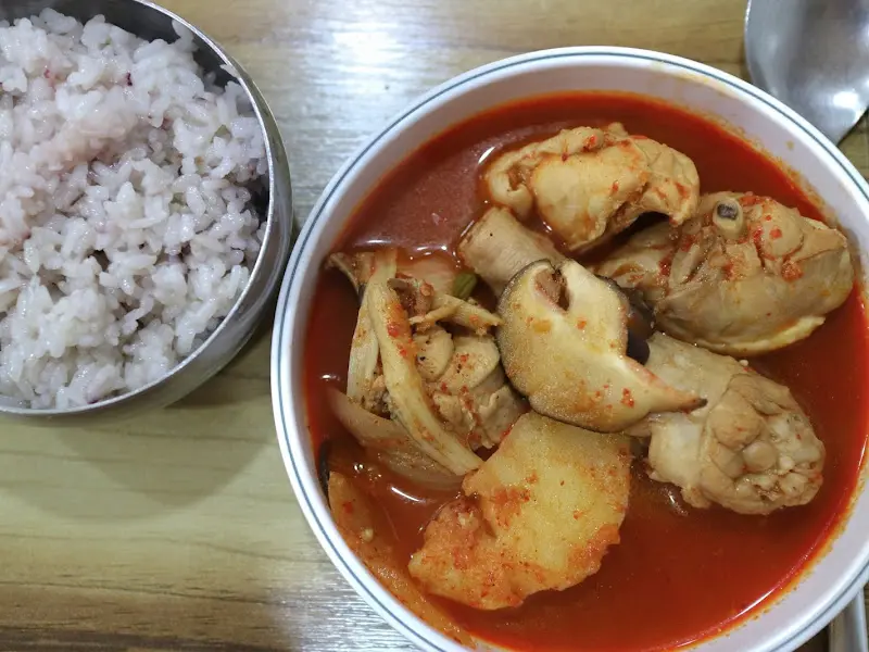 닭볶음탕과 밥 한 공기의 조화