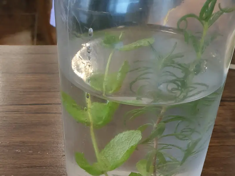 허브티가 담긴 물통