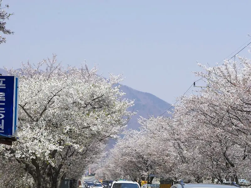 이화가든 앞 도로