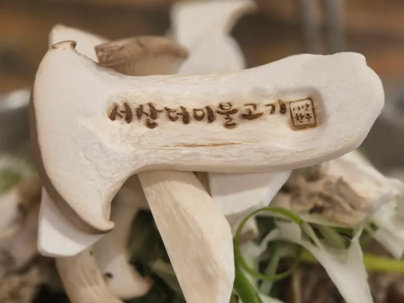 서산더미불고기 버섯