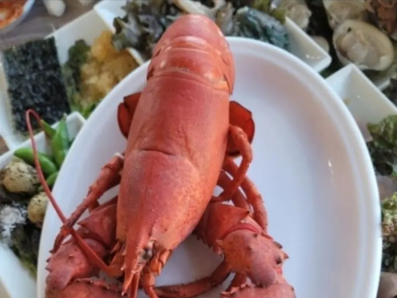 싱싱한 랍스터 회