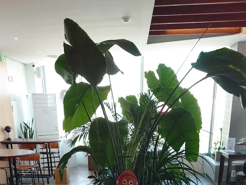 카페 내부 인테리어