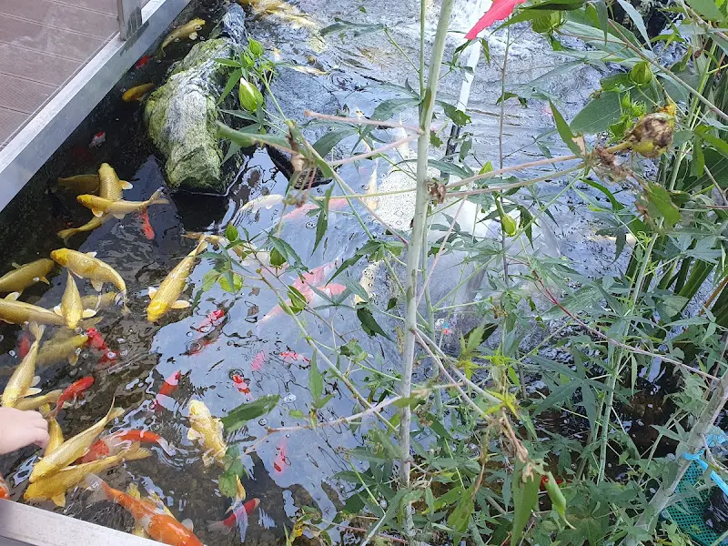 식당 1층에 마련된 연못