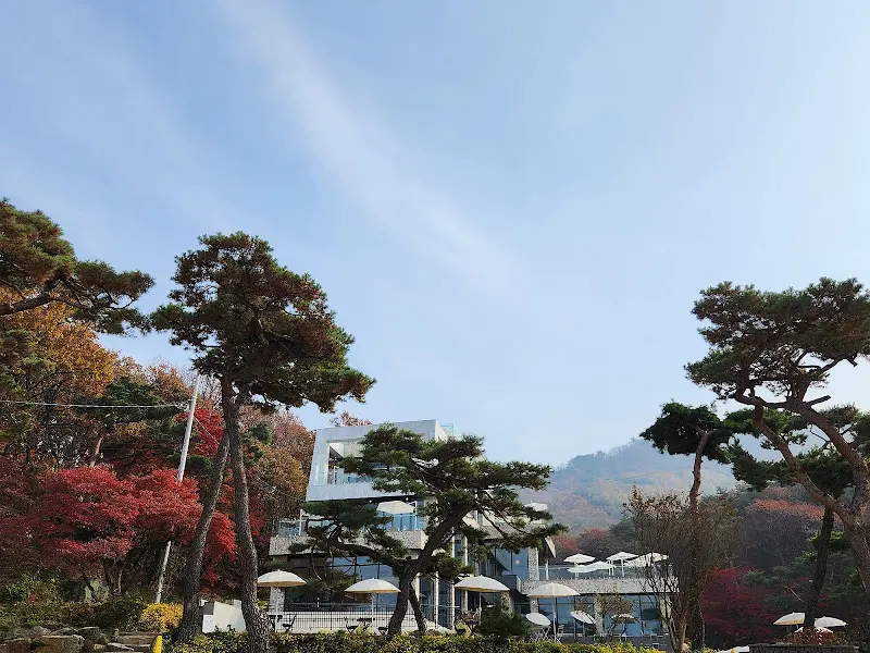 키스톤 스피시즈의 아름다운 외관