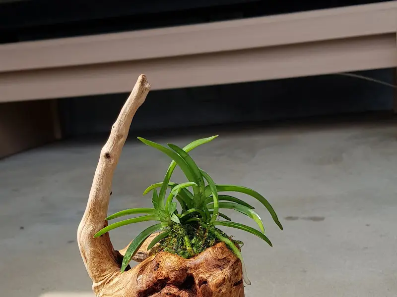 매장 내 장식된 또 다른 화분