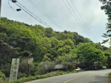 골짜기 숨은 보석, 성주 촌두부집! 레전드 맛집 발견!