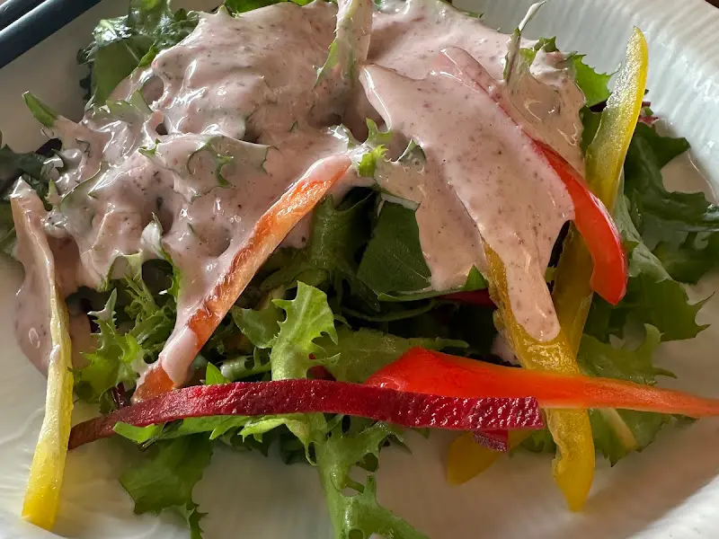 신선한 채소와 특제 드레싱이 어우러진 샐러드