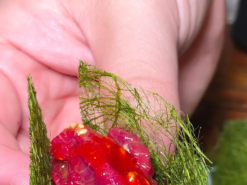 감태에 싸 먹는 뭉티기