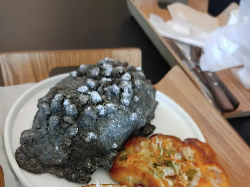 슬로우 스테디 신시어 빵