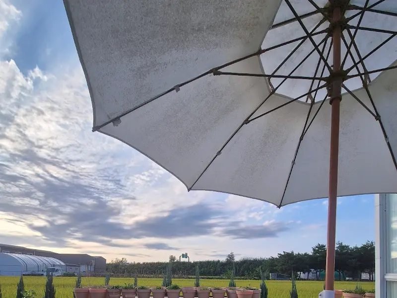 야외 테이블 위 파라솔과 푸른 하늘, 그리고 주변 풍경이 어우러진 모습