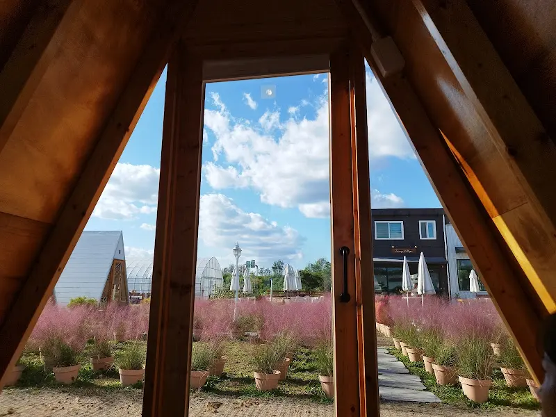 오두막 내부에서 바라본 데이지 꽃밭과 푸른 하늘