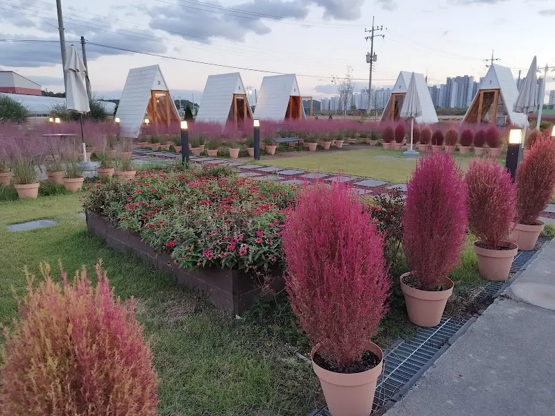 저녁 무렵, 핑크뮬리와 A자형 오두막이 어우러진 정원의 모습