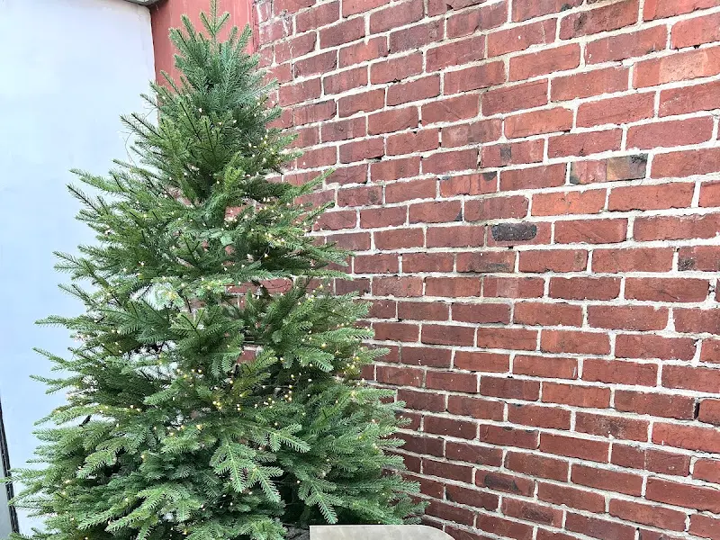 당스 외부 모습