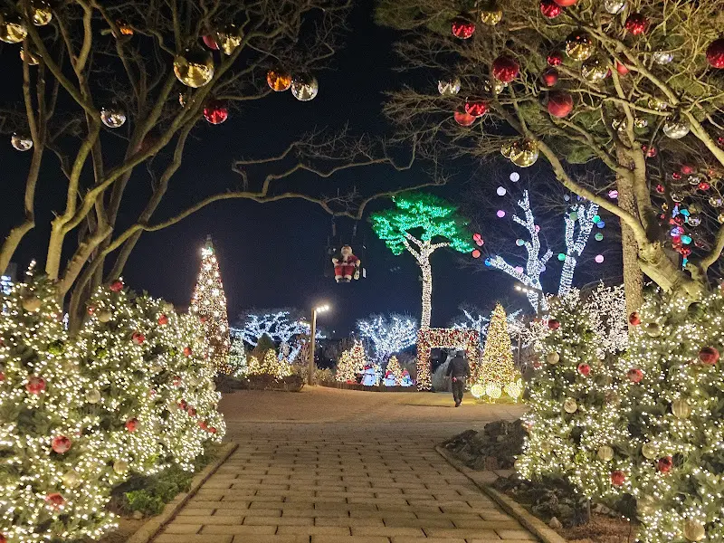 카페 외부의 크리스마스 장식