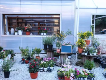 정겹고 따뜻한 거창 팜베리, 맛과 풍경이 어우러진 힐링 맛집 여행