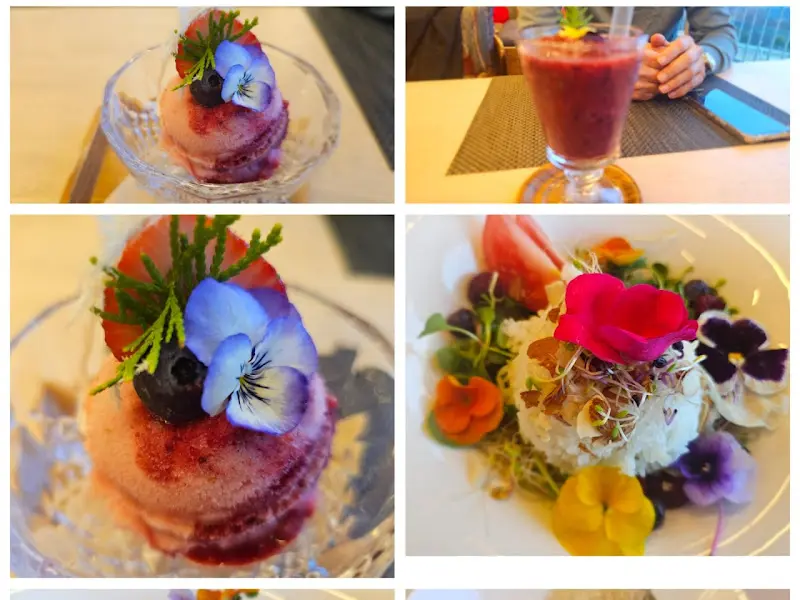 아름다운 꽃 장식이 올라간 젤라또와 스무디
