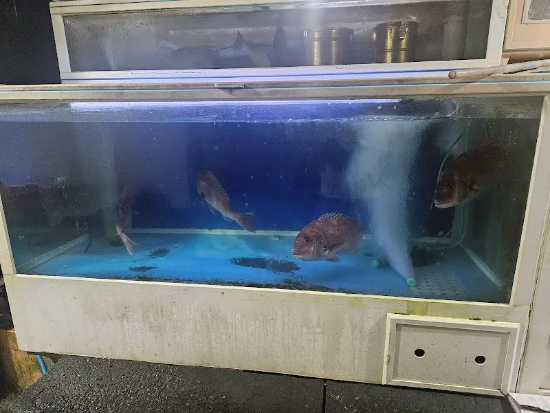 남양수산 수족관