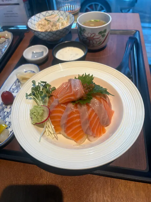 사케동의 아름다운 자태