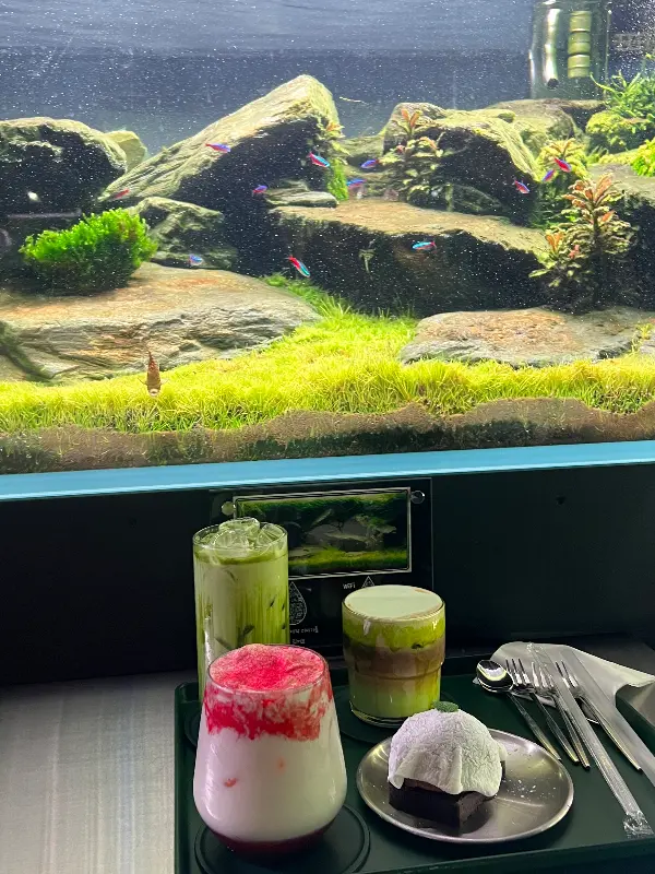 수조 앞에서 찍은 디저트 사진