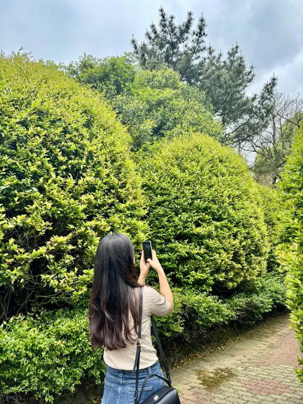 식당 주변 풍경