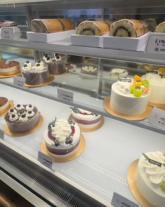 케이크 쇼케이스