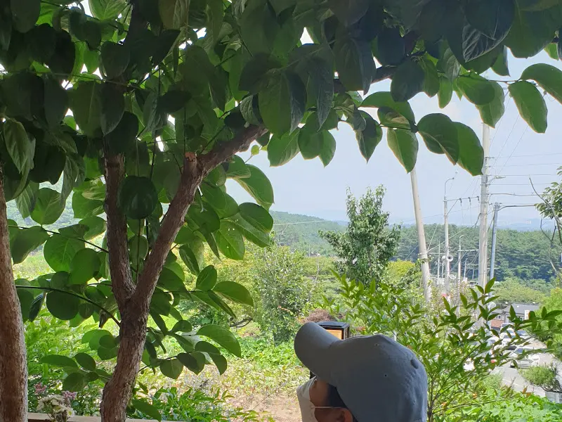 이장집 주변 풍경