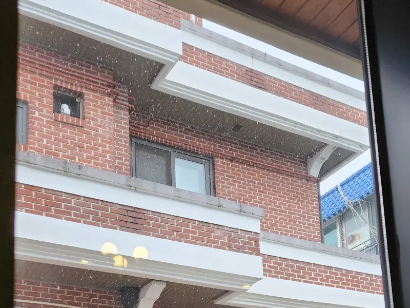 창밖으로 보이는 풍경